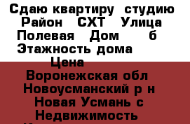 Сдаю квартиру -студию › Район ­ СХТ › Улица ­ Полевая › Дом ­ 36 б › Этажность дома ­ 10 › Цена ­ 7 000 - Воронежская обл., Новоусманский р-н, Новая Усмань с. Недвижимость » Квартиры аренда   